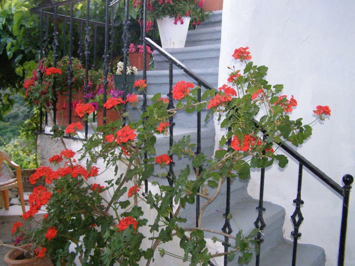 Aerinos House Villa Dış mekan fotoğraf