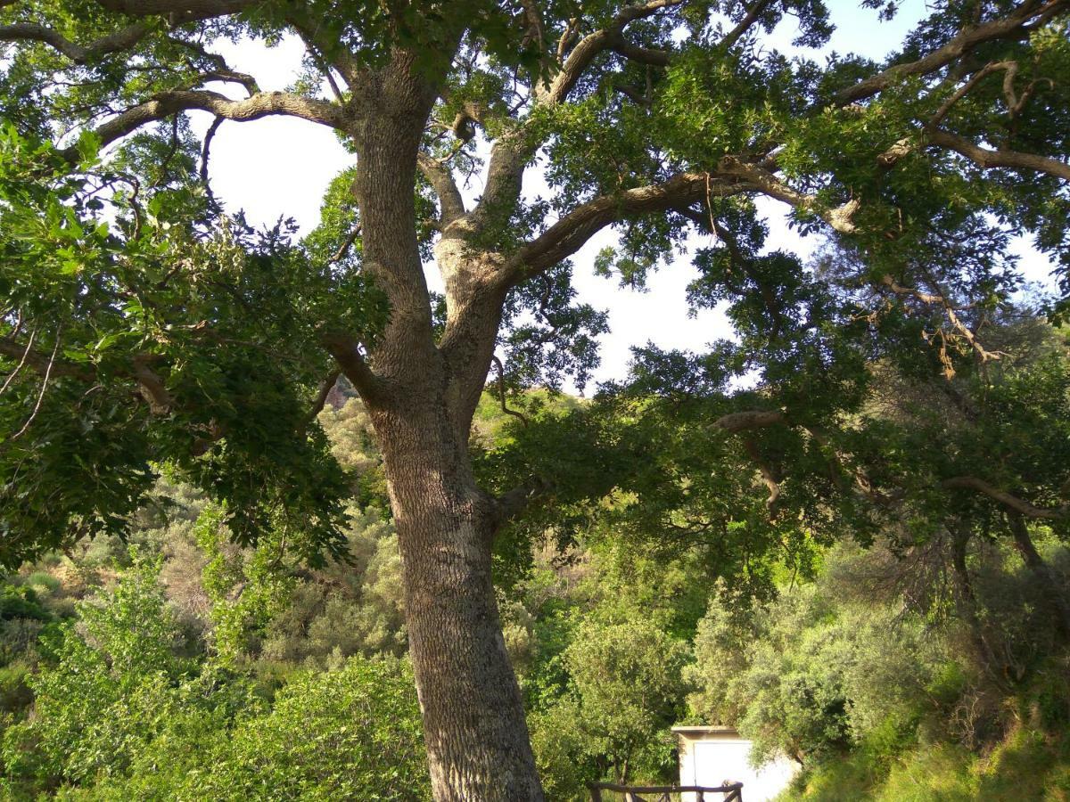 Aerinos House Villa Dış mekan fotoğraf