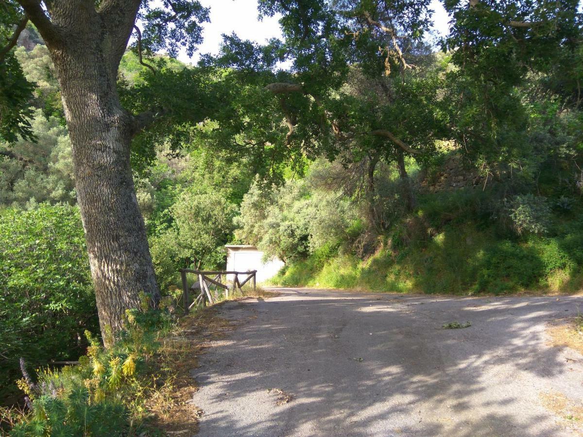 Aerinos House Villa Dış mekan fotoğraf